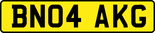 BN04AKG
