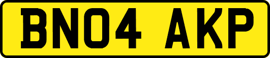 BN04AKP