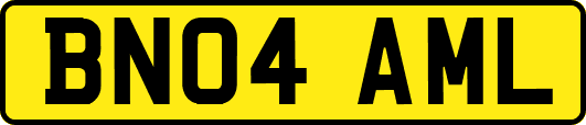 BN04AML