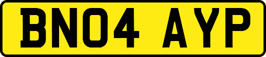 BN04AYP