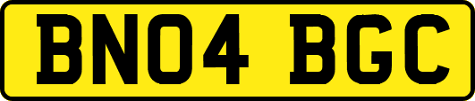BN04BGC