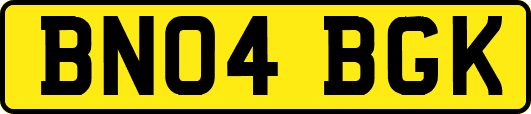 BN04BGK