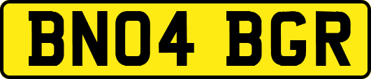 BN04BGR