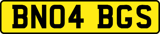 BN04BGS