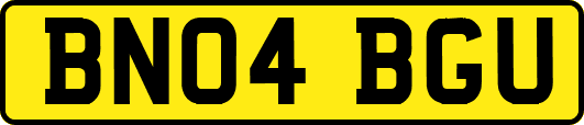 BN04BGU