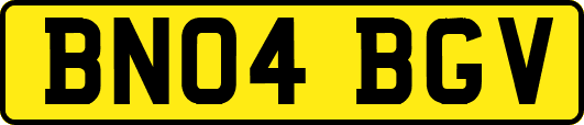 BN04BGV