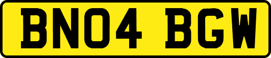 BN04BGW