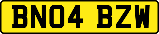 BN04BZW