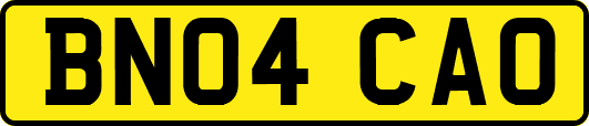 BN04CAO