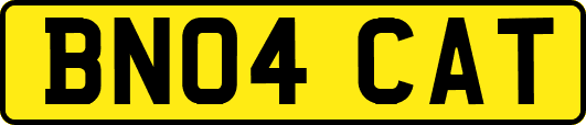 BN04CAT