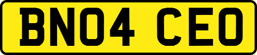 BN04CEO