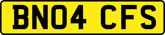 BN04CFS