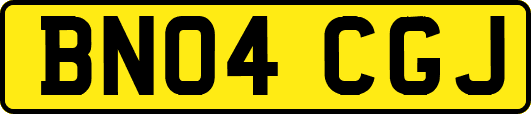 BN04CGJ