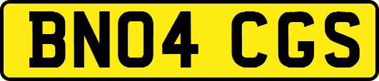 BN04CGS
