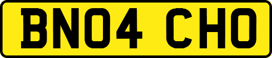 BN04CHO