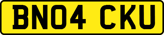 BN04CKU
