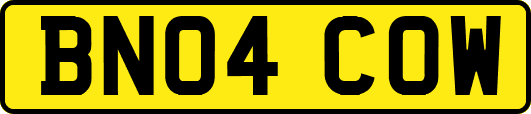 BN04COW