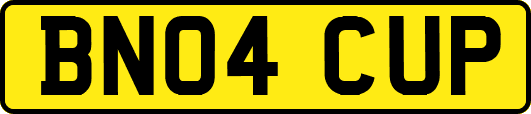 BN04CUP