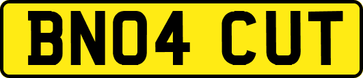 BN04CUT