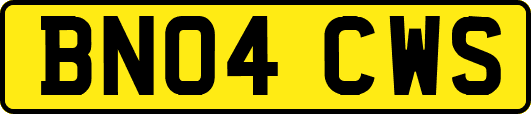 BN04CWS