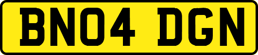 BN04DGN
