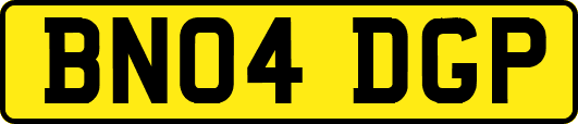BN04DGP