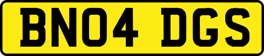 BN04DGS
