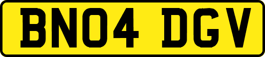 BN04DGV