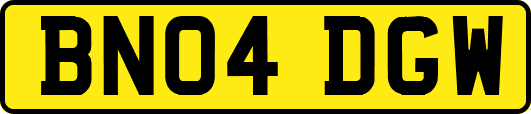BN04DGW