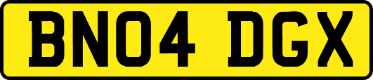 BN04DGX