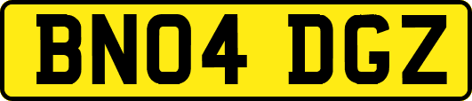 BN04DGZ