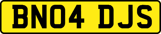 BN04DJS