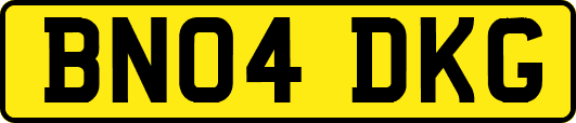 BN04DKG