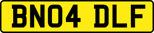 BN04DLF