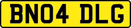BN04DLG