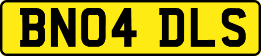 BN04DLS