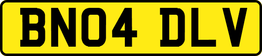 BN04DLV