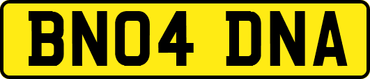 BN04DNA