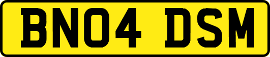 BN04DSM