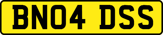 BN04DSS