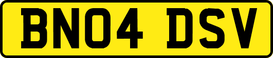 BN04DSV