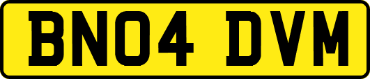 BN04DVM