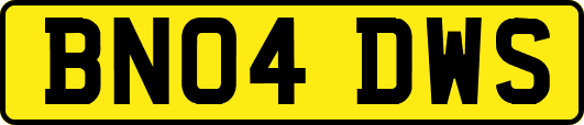 BN04DWS