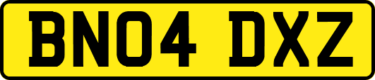 BN04DXZ