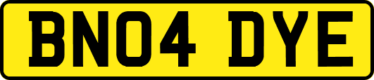 BN04DYE
