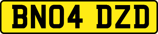 BN04DZD