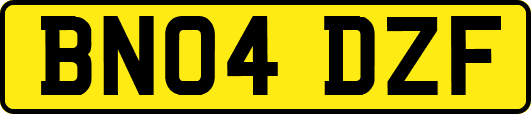 BN04DZF