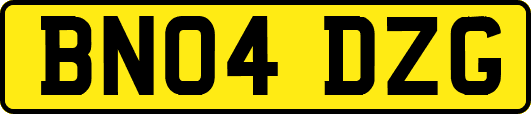 BN04DZG