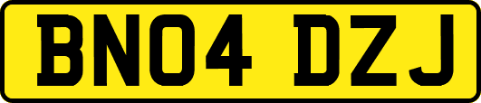BN04DZJ