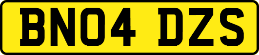 BN04DZS